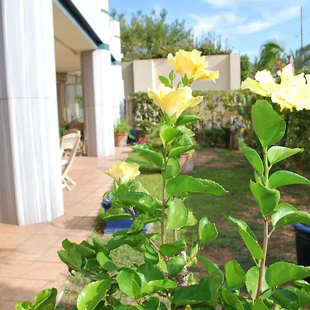 Le Palais Napoleon Гольф-Жуан